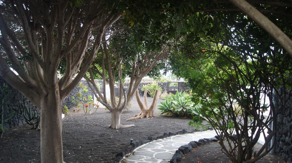 Finca La Rubina Mozaga Exteriér fotografie